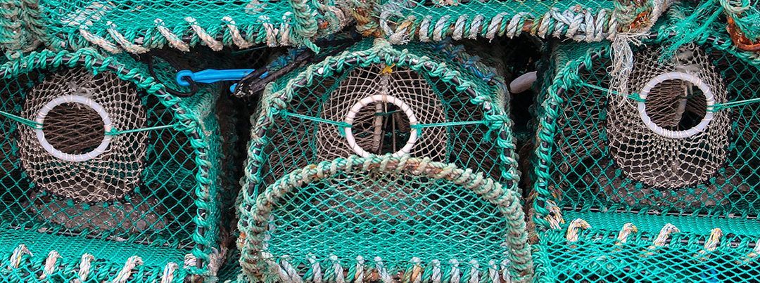 ¿Por qué elegir productos procedentes de la pesca artesanal?