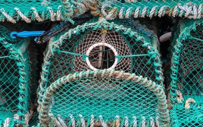 ¿Por qué elegir productos procedentes de la pesca artesanal?