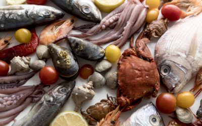 4 productos del mar que no pueden faltar en tu dieta